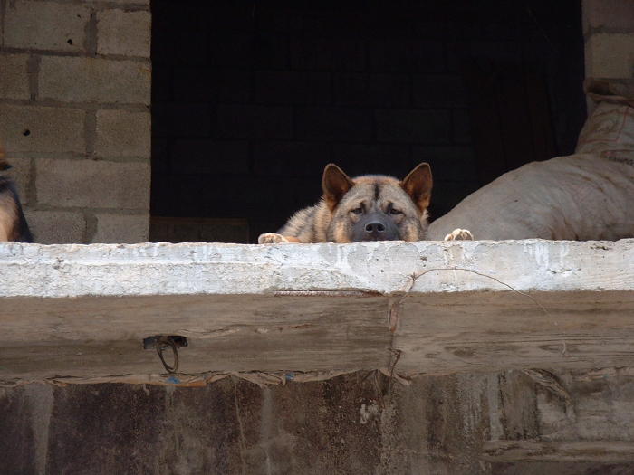 slideshow image